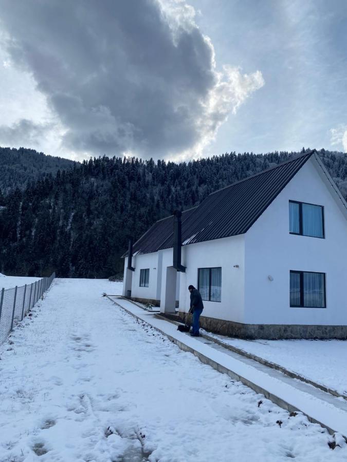 Апартаменты White House Near Borjomi Sadgeri Экстерьер фото
