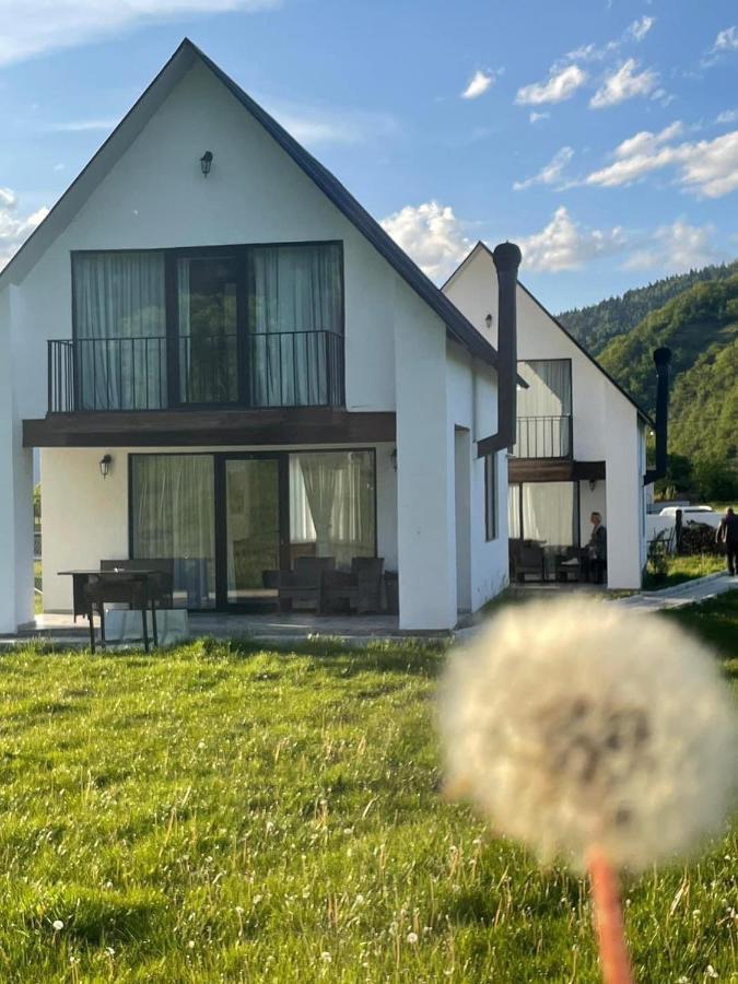 Апартаменты White House Near Borjomi Sadgeri Экстерьер фото